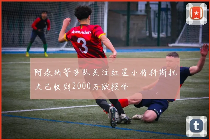 阿森纳等多队关注红星小将科斯托夫已收到2000万欧报价
