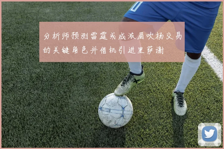 分析师预测雷霆或成浓眉吹杨交易的关键角色并借机引进里萨谢