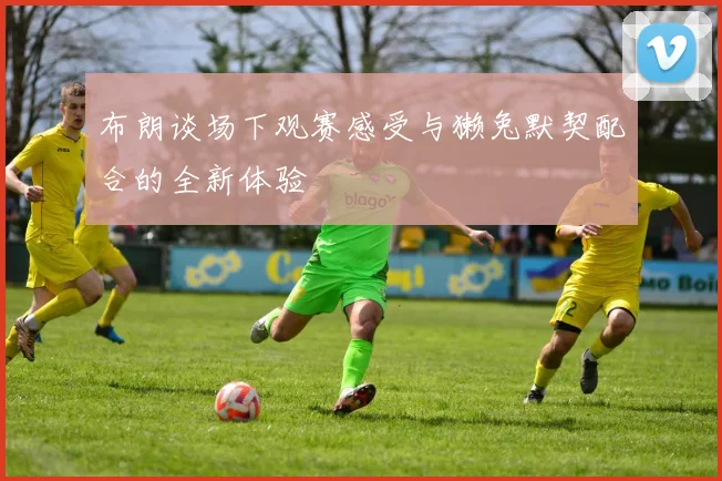 布朗谈场下观赛感受与獭兔默契配合的全新体验